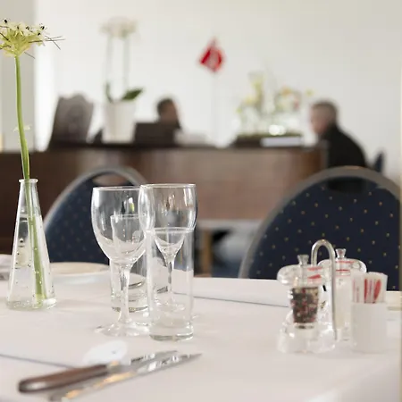 酒店 Hotel Juelsminde Strand 3*